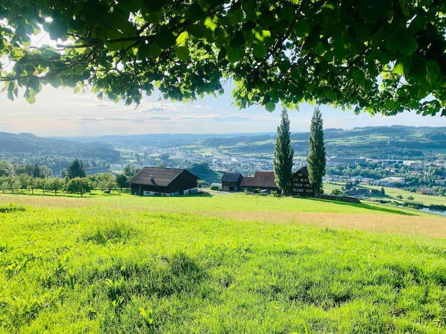 Вілла Birkenhof, Haus Schwaenli Герізау Екстер'єр фото