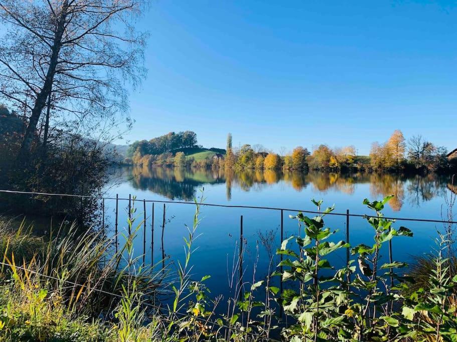 Вілла Birkenhof, Haus Schwaenli Герізау Екстер'єр фото